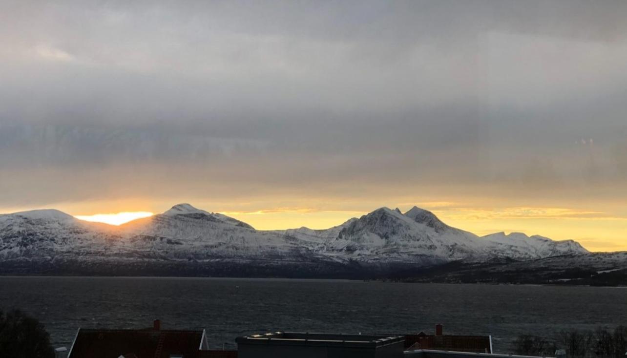Arctic Homestay With Northern Light Viewpoint 特罗姆瑟 外观 照片