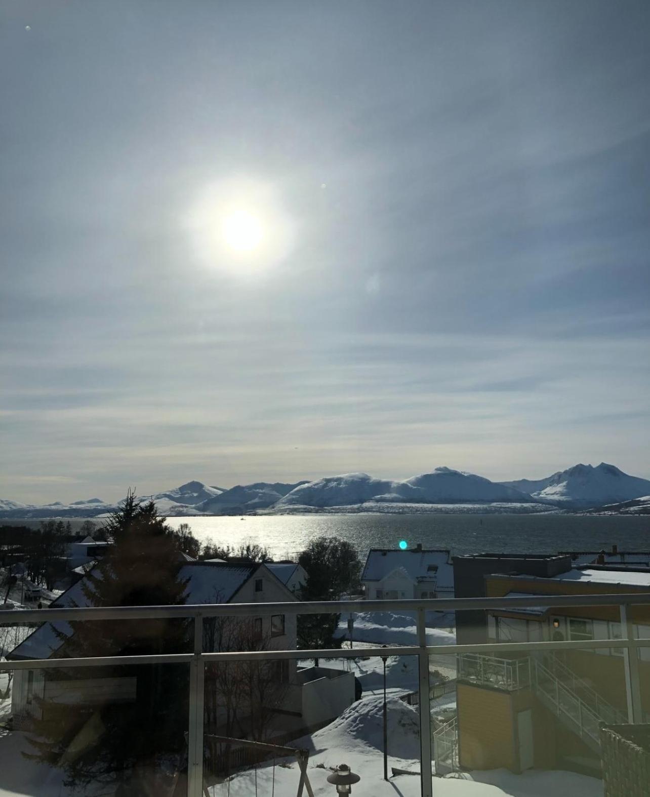 Arctic Homestay With Northern Light Viewpoint 特罗姆瑟 外观 照片